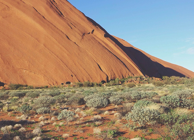 短信免费轰炸网页入口
